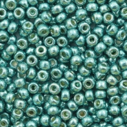 Rocailles Miyuki 8/0 Duracoat galvanized sea foam green 8 - 4217