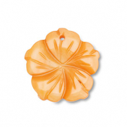 Perline di conchiglia Pendenti di conchiglia