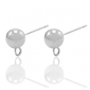 Orecchini in acciaio inossidabile con anellino argento