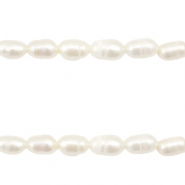 BQ Perle di acqua dolce chicco di riso 7x5mm bianco naturale