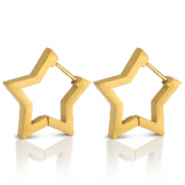 Orecchini in acciaio inossidabile stella oro