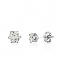 Orecchini in acciaio inossidabile zircone argento