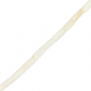 Perline di conchiglia tubo biancastro