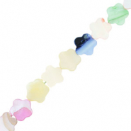 Perline di conchiglia fiore multicolore pastello