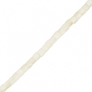 Perline di conchiglia tubo bianco
