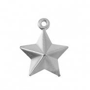 Ciondoli in acciaio inossidabile stella argento