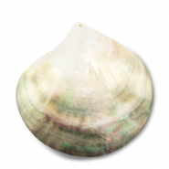 Pendenti di conchiglia di madreperla bianco (colore naturale)-marrone chiaro-marrone scuro