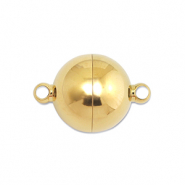 Componenti in acciaio inossidabile chiusura magnetica 14mm tonda oro