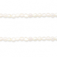 BQ Perle di acqua dolce pepita tonda 6-7x5mm bianco naturale