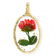 Ciondoli con fiore secchi ovale oro-rosso-verde