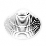 Broches accattivanti in acciaio inossidabile conchiglia argento