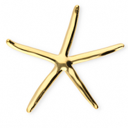 Broches accattivanti in acciaio inossidabile stella marina oro