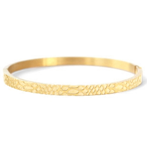Bracciali in acciaio inossidabile con stampa serpente oro