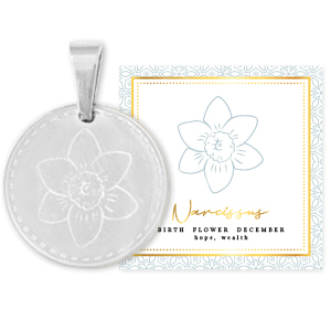 Mix & Match ciondoli in acciaio inossidabile 15 mm Birth flower December-Narcissus argento