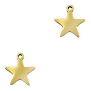 Ciondoli in acciaio inossidabile stella oro