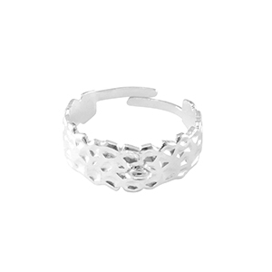 Anelli in acciaio inossidabile con anellino argento