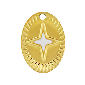 Ciondoli in acciaio inossidabile ovale stella oro-bianco