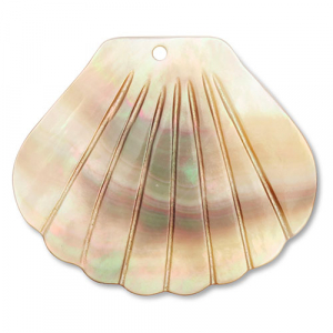 Pendenti di conchiglia conchiglia di capesante bianco (colore naturale)-marrone