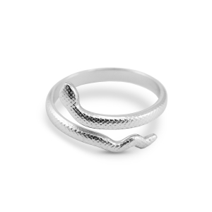 Anelli in acciaio inossidabile serpente argento