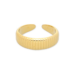 Anelli in acciaio inossidabile con linee oro