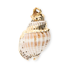 Pendenti di conchiglia prodotti speciali conchiglia a lumachina biancastro-oro