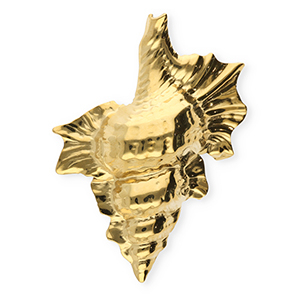 Broches accattivanti in acciaio inossidabile conchiglia oro