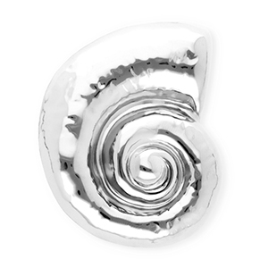 Broches accattivanti in acciaio inossidabile lumaca argento