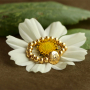 Crea bracciali personalizzati con le perline Fiore di nascita
