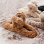 Tempo di ispirazione con i fermagli per capelli Teddy